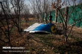 توضیحات سازمان هواپیمایی درباره بررسی جعبه سیاه هواپیمای اوکراینی