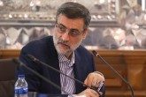 قاضی زاده هاشمی: تفسیر قانون با مجلس است نه مجری