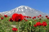 اگر منطقه وقف شده دماوند مرتع باشد اراضی ملی تلقی می شود