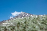 اطراف روستای ملار وقف شده است نه کوه دماوند اطراف روستای ملار وقف شده است نه کوه دماوند
