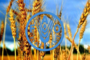 مقاومت میکروبی امنیت غذایی ومعیشت میلیون‌ها کشاورز راتهدید می کند
