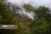 تصاویر / ایران زیباست؛ پاییز در جنگل های «هیرکانی» گیلان