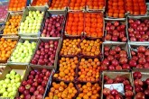 هیچ کمبودی در تامین میوه شب یلدا  نداریم
