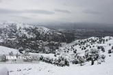 تصاویر / بارش برف در گیلان؛ روستای «تابستان نشین»