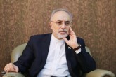 بن بست برجام درحال شکسته شدن است / در مذاکرات وارد بحث فنی شدیم