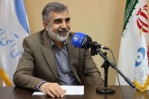 امسال ۴۰ تن کیک زرد تولید می‌کنیم