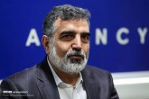 سخنگوی سازمان انرژی اتمی دچار حادثه شد