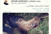 هزینه میدان برای دیپلماسی ...