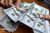 جزئیات قیمت رسمی ارز/ نرخ ۴۶ ارز بدون تغییر باقی ماند