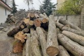 دستگیری اعضای باند قاچاق چوب از جنگل‌های گلستان