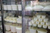 قیمت لبنیات باز هم بر مدار صعود/ارز ۴۲۰۰ تومانی این وسط چه می‌کند
