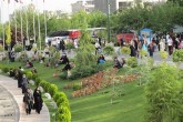 استفاده از آب شرب برای آبیاری فضای سبز تهران ممنوع شد