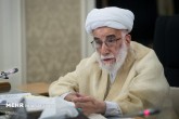 کدخدایی با استدلال و منطق، آبروی شورای نگهبان را حفظ کرد