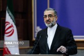 اسماعیلی: «نمیشود» و «نمیتوانیم» در قاموس و فرهنگ دولت سیزدهم وجود ندارد اسماعیلی: «نمیشود» و «نمیتوانیم» در قاموس و فرهنگ دولت سیزدهم وجود ندارد