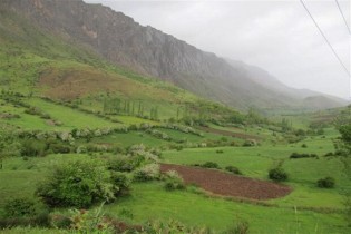 طرح ممیزی مراتع کشور امسال به اتمام می‌رسد