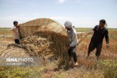 ضرورت برخورداری کشاورزان مستقل وخویش فرما از بیمه/ برخی سنگ اندازی می کنند