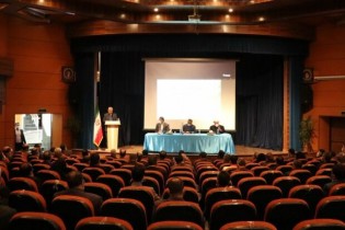 سرخه ۱۲ هزار تن گوشت مرغ تولید می‌کند
