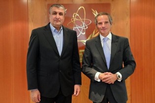 مدیرکل آژانس بین‌المللی انرژی اتمی با محمد اسلامی دیدار کرد