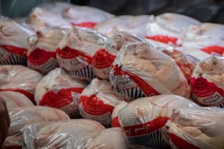 قیمت مصوب مرغ روز در ستاد تنظیم بازار ۳۱ هزار تومان تعیین شد