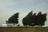 هشدار هواشناسی نسبت به وزش باد شدید در ۷ استان