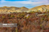 تصاویر / ایران زیباست؛ پاییز روستای «افجه»