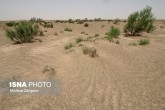 آب که دوتا شد، خاک «شور» می‌شود