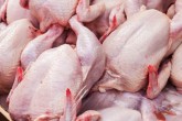توقیف 3 هزار قطعه مرغ گوشتی قاچاق در صحنه
