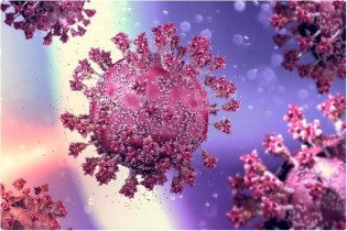دستاوردی دیگر در قطب ویروس شناسی شمال کشور/ موفقیت محققان گلستانی در ارائه روش تشخیص سریع کرونا