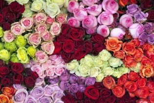 قیمت گل در آستانه روز زن/ افزایش قیمت نداشتیم
