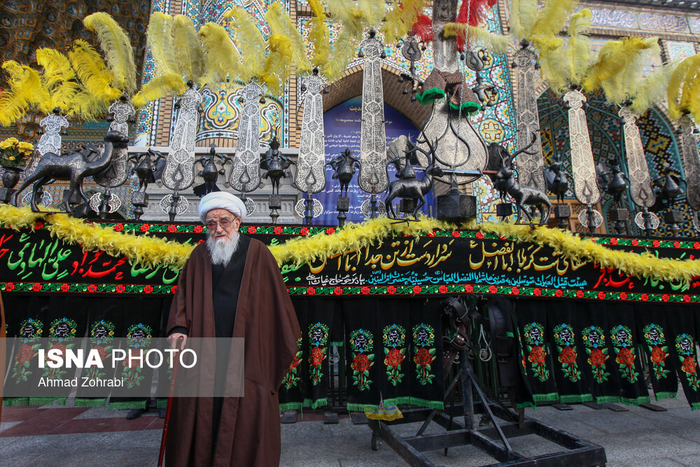 آیت الله لطف الله صافی گلپایگانی