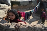 پالایش اطلاعات پنج میلیون مددجوی کمیته امداد/اتصال اطلاعات نیازمندان به خیران