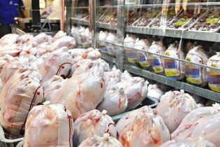 افزایش عرضه مرغ از شنبه/ کمبودی در تولید نداریم
