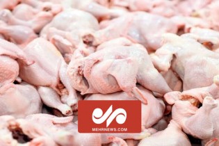 توزیع مرغ گرم از امروز در سراسر کشور