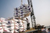 هند؛ بزرگترین وارد کننده برنج به ایران/ واردات برنج اماراتی