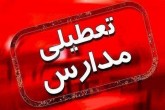 مدارس و ادارات باوی به علت گرد و خاک تعطیل شدند