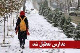 تعطیلی مدارس ۳ شهر استان تهران به دلیل بارش برف