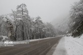 کاهش ۸ تا ۱۰ درجه ای دما در کشور/بارش برف پراکنده در تهران