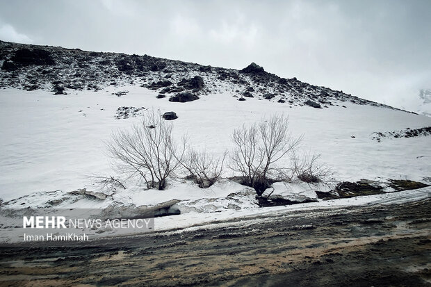 بارش برف بهاری در تاریک دره ی همدان