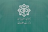 بیانیه وزارت اطلاعات درباره حوادث مدارس کشور/ ماده سمی در کار نبود اما عوامل دیگر شناسایی شدند